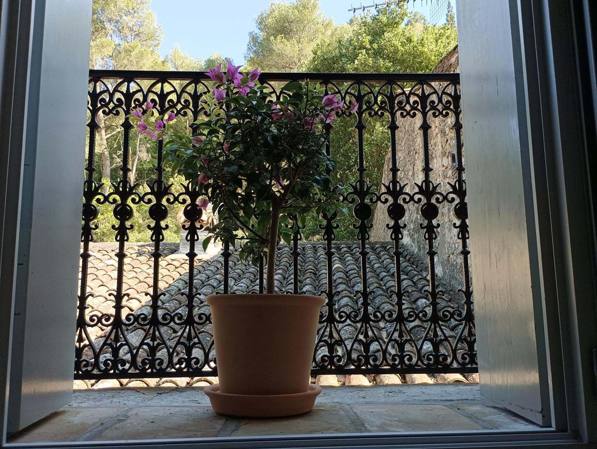 La Maison De La Traverse Saint-Guilhem-le-Desert Dış mekan fotoğraf