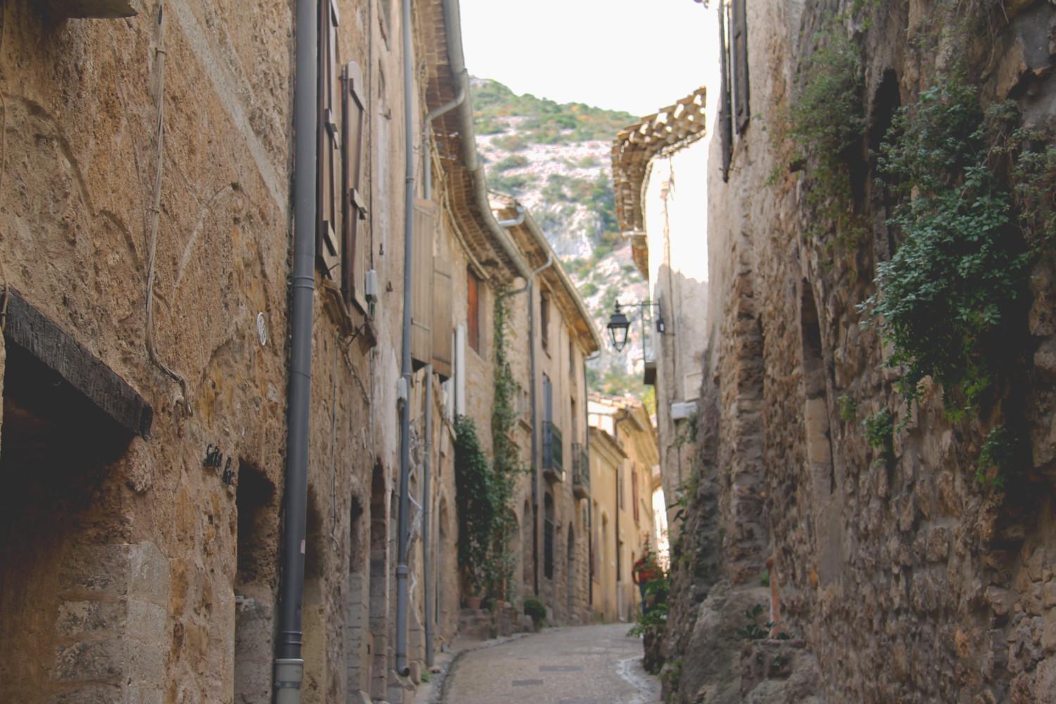 La Maison De La Traverse Saint-Guilhem-le-Desert Dış mekan fotoğraf