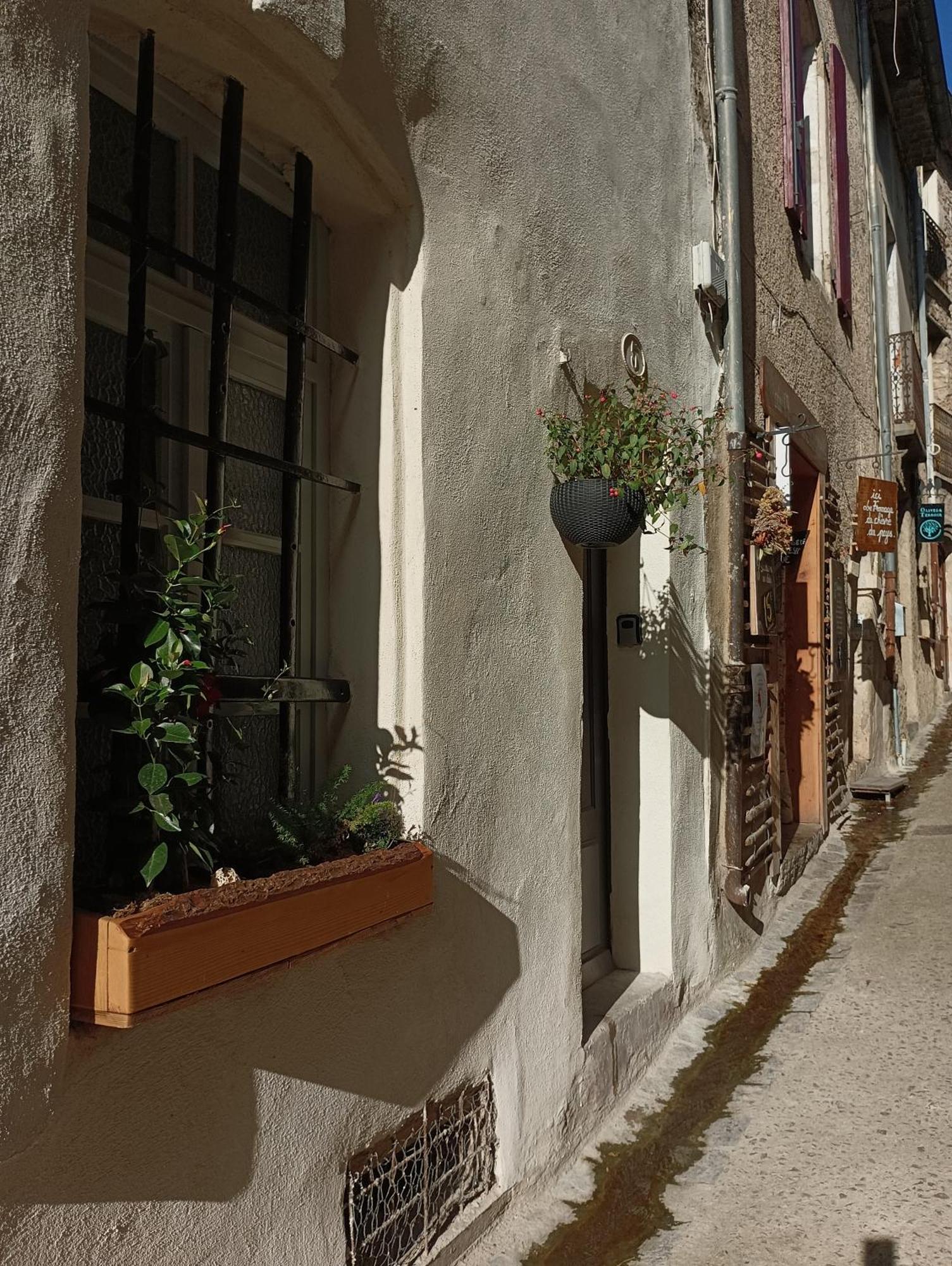 La Maison De La Traverse Saint-Guilhem-le-Desert Dış mekan fotoğraf